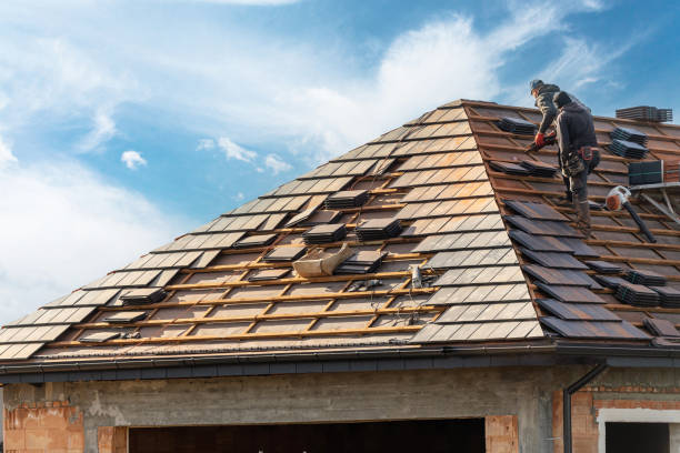 Best Roof Moss and Algae Removal  in Onancock, VA